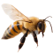 beeuntitled 1